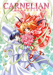 ＣＡＲＮＥＬＩＡＮコレクション