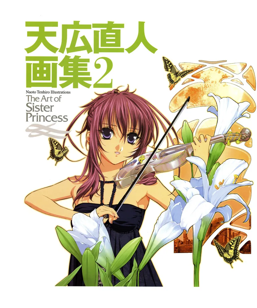 天広直人画集２ ～Ｔｈｅ Ａｒｔ ｏｆ Ｓｉｓｔｅｒ Ｐｒｉｎｃｅｓｓ 