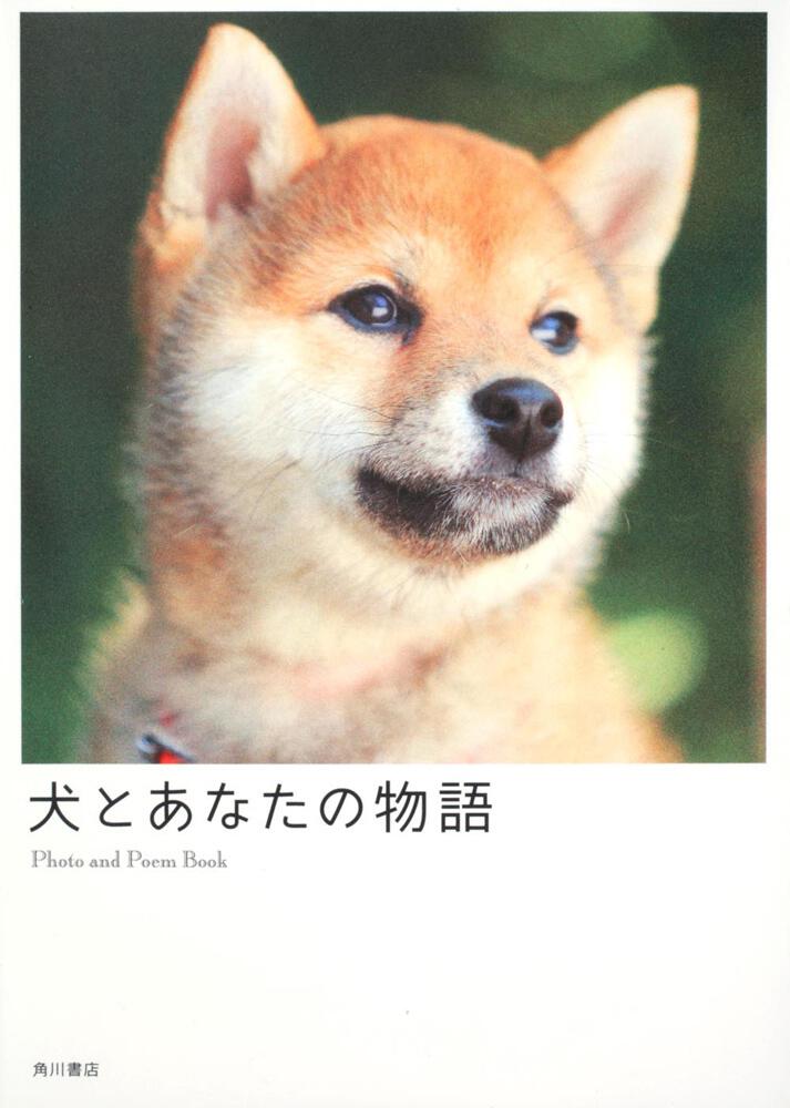 犬とあなたの物語 ２０１０ 犬とあなたの物語 製作委員会 タレント写真集 Kadokawa