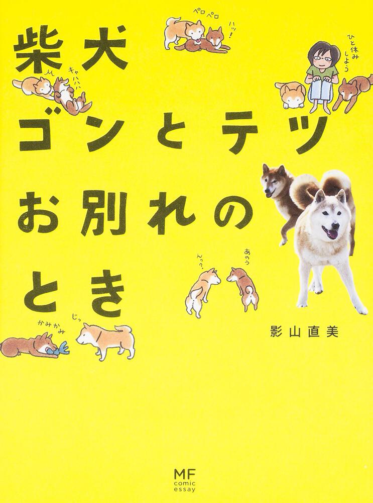 柴犬ゴンとテツお別れのとき