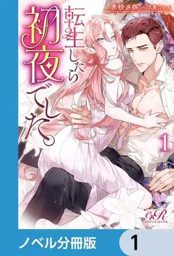 BL本　一冊150円③ 転生したら初夜でした。【ノベル分冊版】」赤砂タ奈 [BL・TL