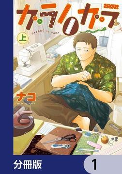 ガラノノガラ【分冊版】 5」ナコ [BRIDGE COMICS] - KADOKAWA