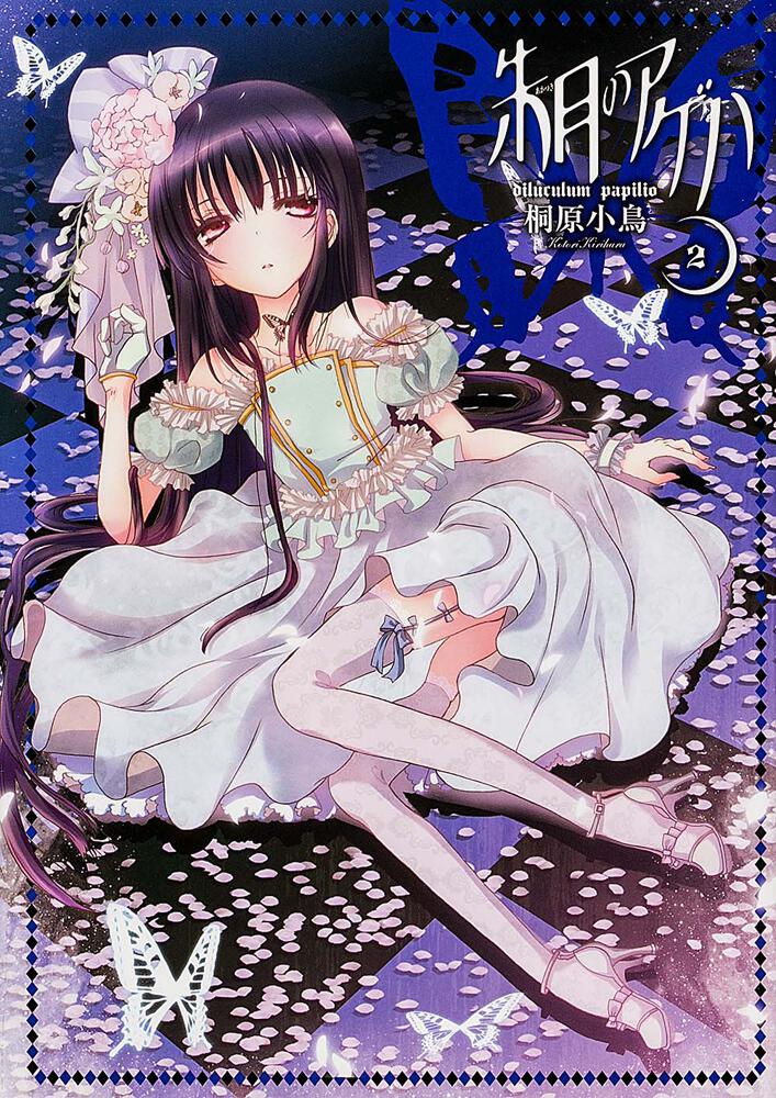 朱月のアゲハ　（２）