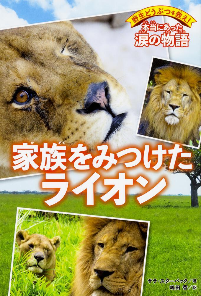 野生どうぶつを救え 本当にあった涙の物語 家族をみつけたライオン 書籍情報 ヨメルバ Kadokawa児童書ポータルサイト