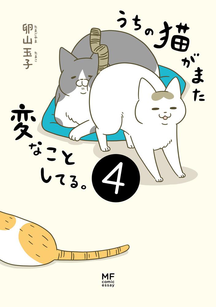 うちの猫がまた変なことしてる。４