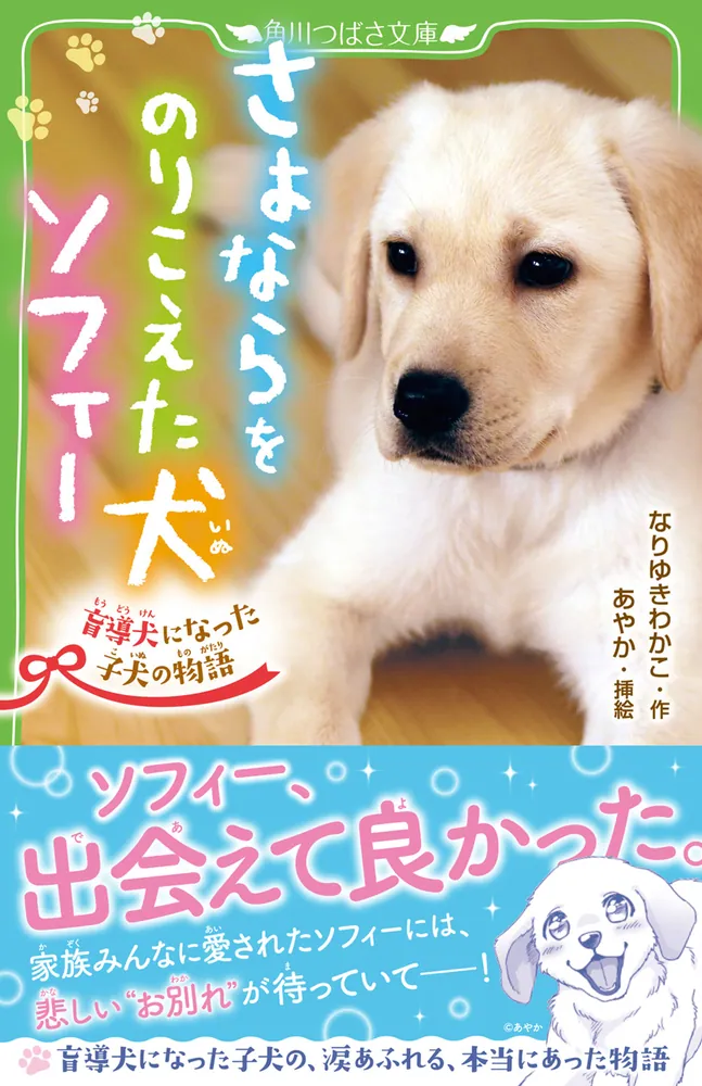 膨大な知識とノミの心臓を持つあなたへ 成功へのパワ-ブック 膨大な知識とノミの心臓を持つあなたへ 成功へのパワーブック