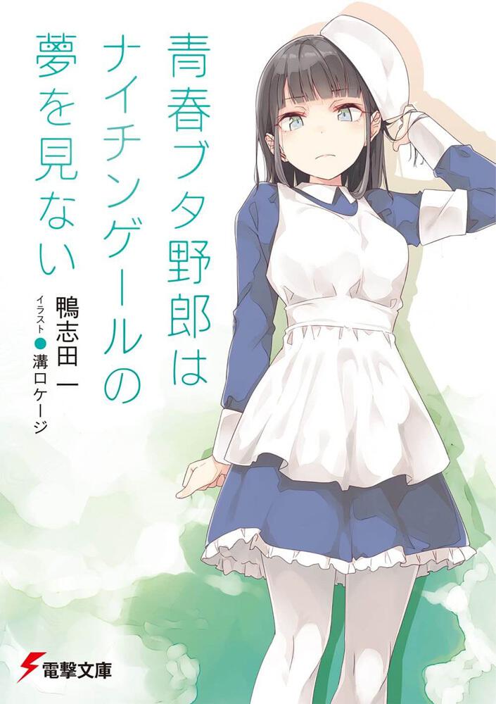 青春ブタ野郎はナイチンゲールの夢を見ない 鴨志田 一 電撃文庫 Kadokawa