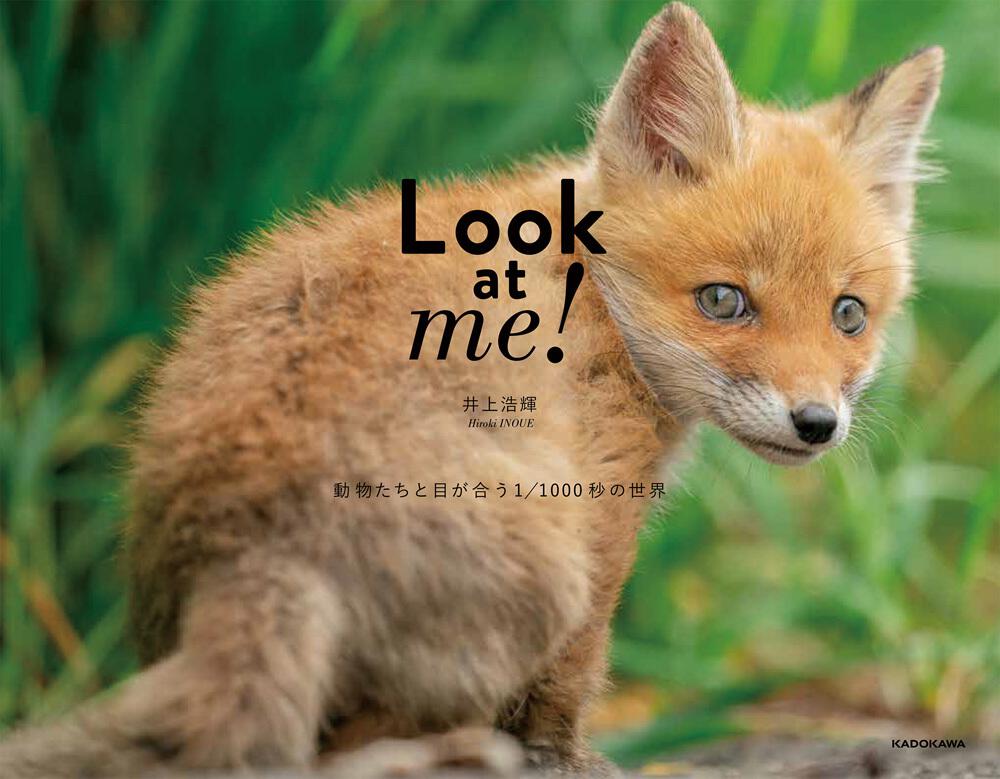 Look At Me 動物たちと目が合う1 1000秒の世界 井上 浩輝 写真集 Kadokawa