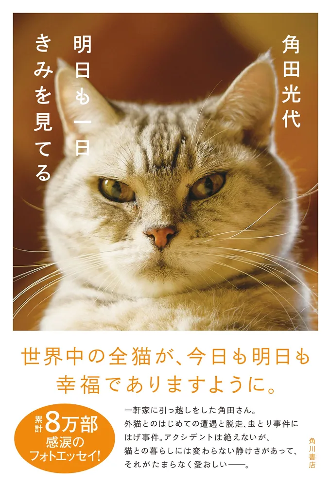322009000358_01.webp