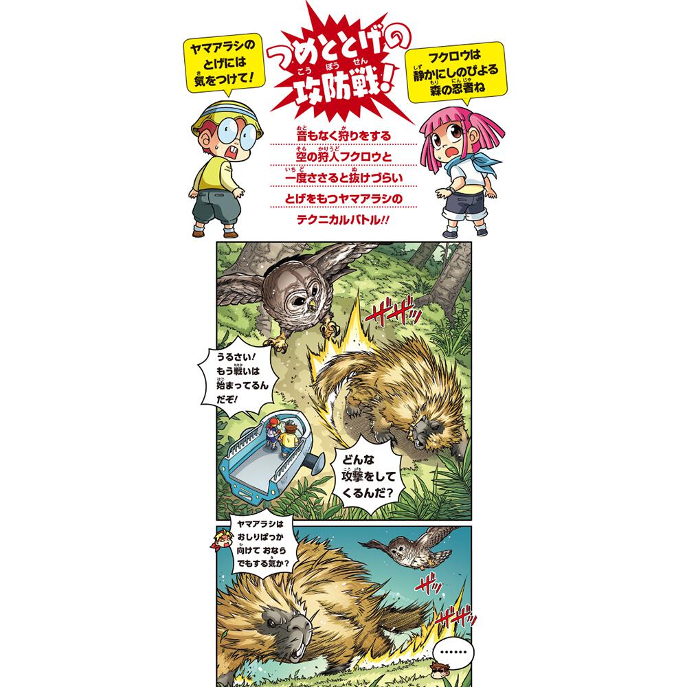 どっちが強い フクロウvsヤマアラシ 森の最強鳥獣バトル 坂東 元 角川まんが学習シリーズ Kadokawa どっちが強い フクロウvsヤマアラシ 森の最強鳥獣バトル 坂東 元 角川まんが学習シリーズ Kadokawa