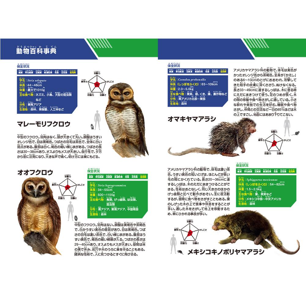 どっちが強い フクロウvsヤマアラシ 森の最強鳥獣バトル 坂東 元 角川まんが学習シリーズ Kadokawa