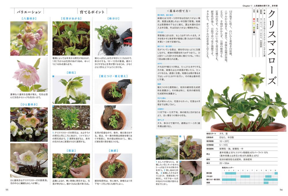 植物を育てる楽しみとコツがわかる 「園芸」の基本帖」矢澤秀成 [生活