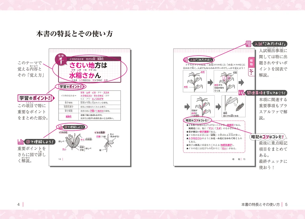 改訂版 中学受験 ここで差がつく！ ゴロ合わせで覚える理科１００」宮本毅 [学習参考書（小学生向け）] - KADOKAWA