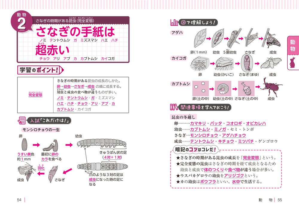 中学受験 ここで差がつく！ゴロ合わせで覚える理科８５／宮本毅(著者)