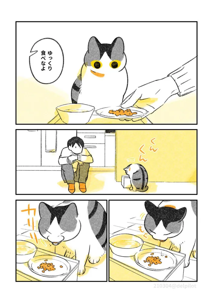 じじ猫くらし２」ふじひと [コミックエッセイ] - KADOKAWA