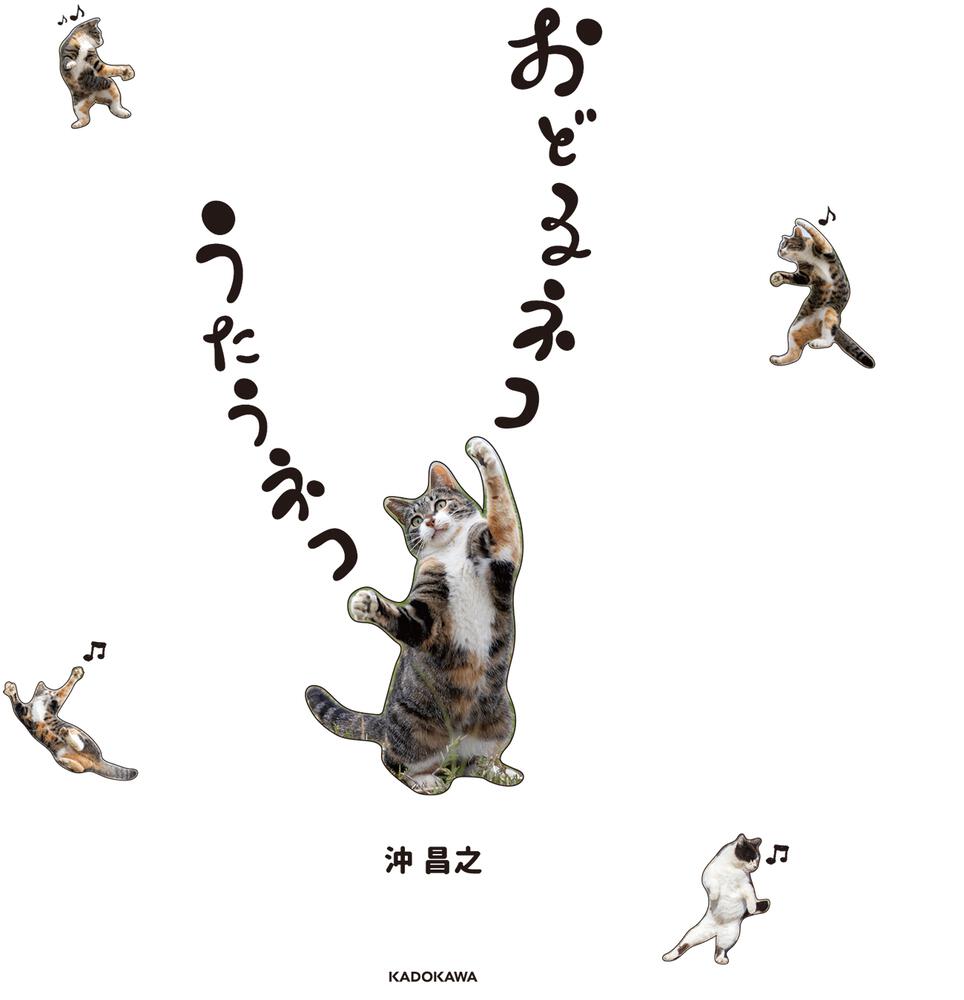 おどるネコうたうネコ 沖 昌之 写真集 Kadokawa