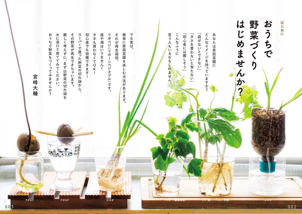 キッチンからはじめる 日本一カンタンな家庭菜園の入門本 おうち野菜づくり 宮崎 大輔 生活 実用書 Kadokawa