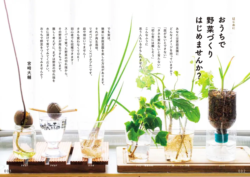 専用出品 野菜園芸大百科11巻(再出品) おうちで大収穫！ 世界一カンタンな野菜のつくり方」そらベジ