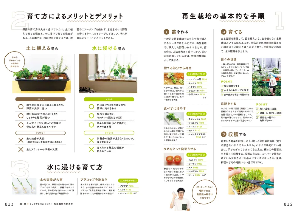キッチンからはじめる！日本一カンタンな家庭菜園の入門本 おうち野菜 
