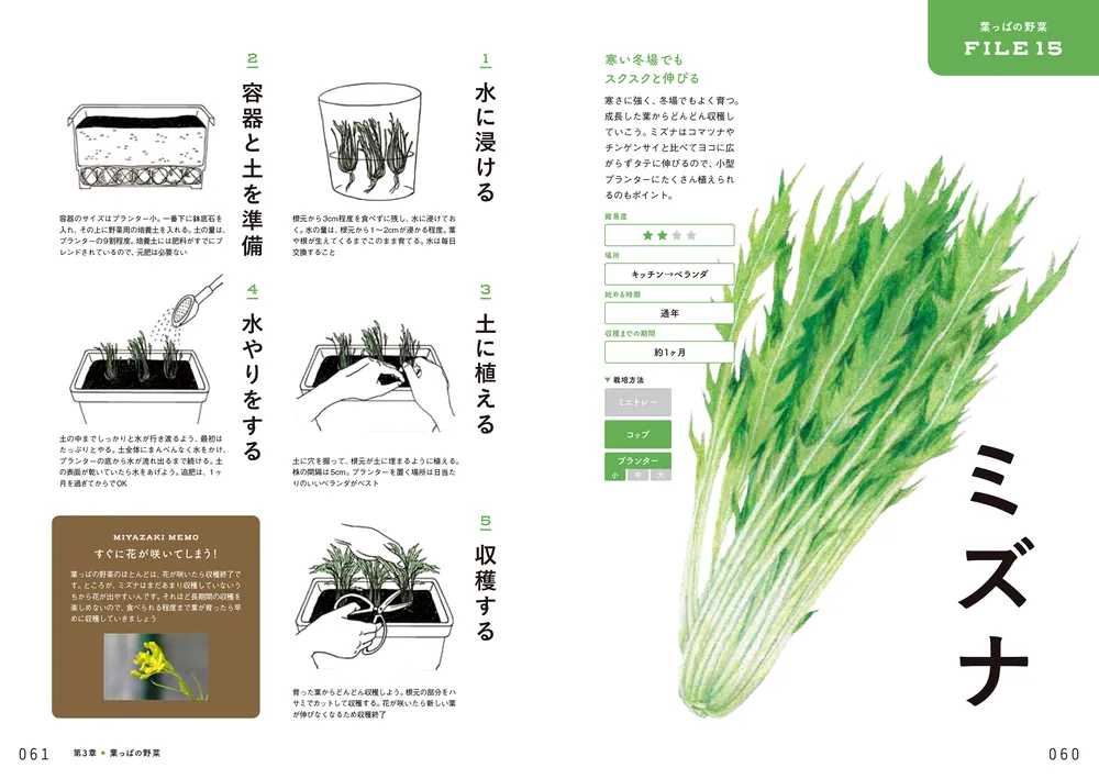 キッチンからはじめる！日本一カンタンな家庭菜園の入門本 おうち野菜