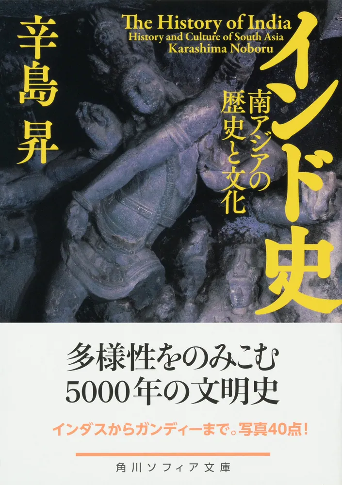 インド史 南アジアの歴史と文化」辛島昇 [角川ソフィア文庫] - KADOKAWA