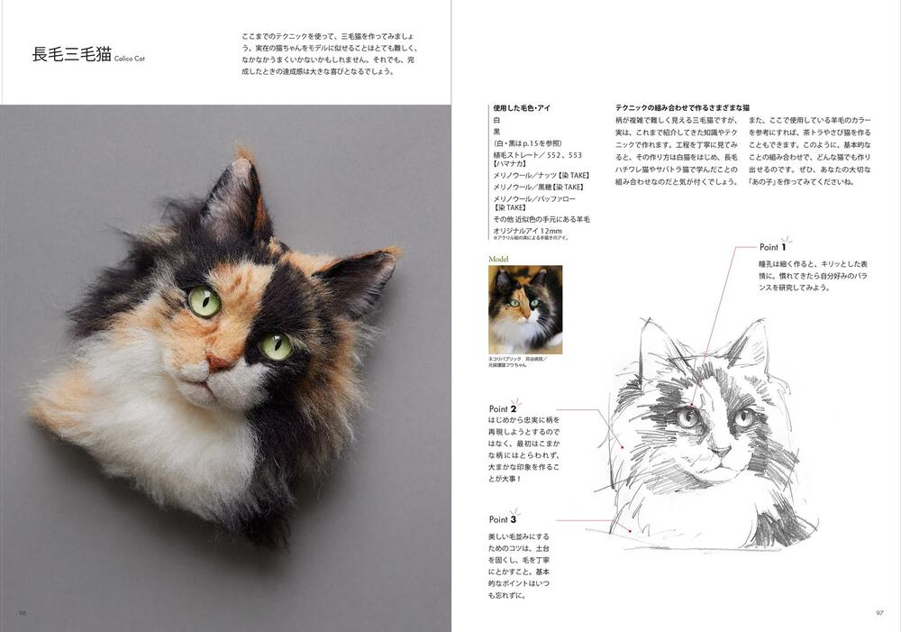 羊毛フェルトから生まれる猫の肖像 「わくねこ」の作り方」 Sachi[生活・実用書] - KADOKAWA