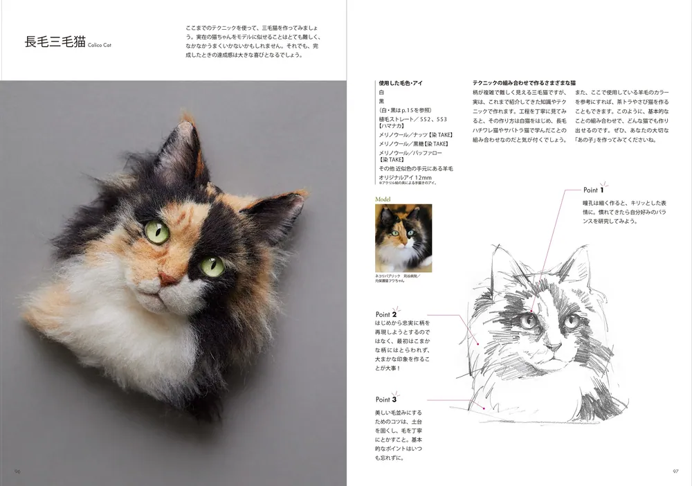 羊毛フェルトから生まれる猫の肖像 「わくねこ」の作り方」Sachi [生活・実用書] - KADOKAWA