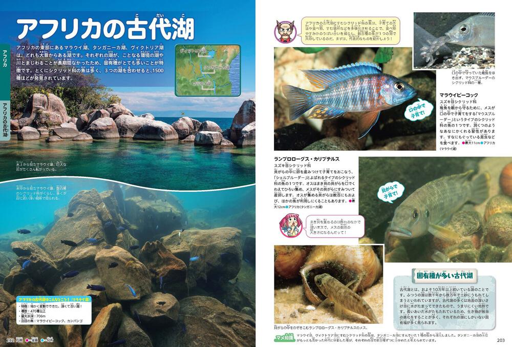 角川の集める図鑑ｇｅｔ 魚 宮 正樹 学習図鑑 Kadokawa