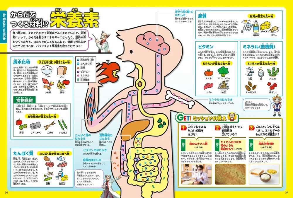 角川の集める図鑑GET！ 人体」坂井建雄 [学習図鑑] - KADOKAWA