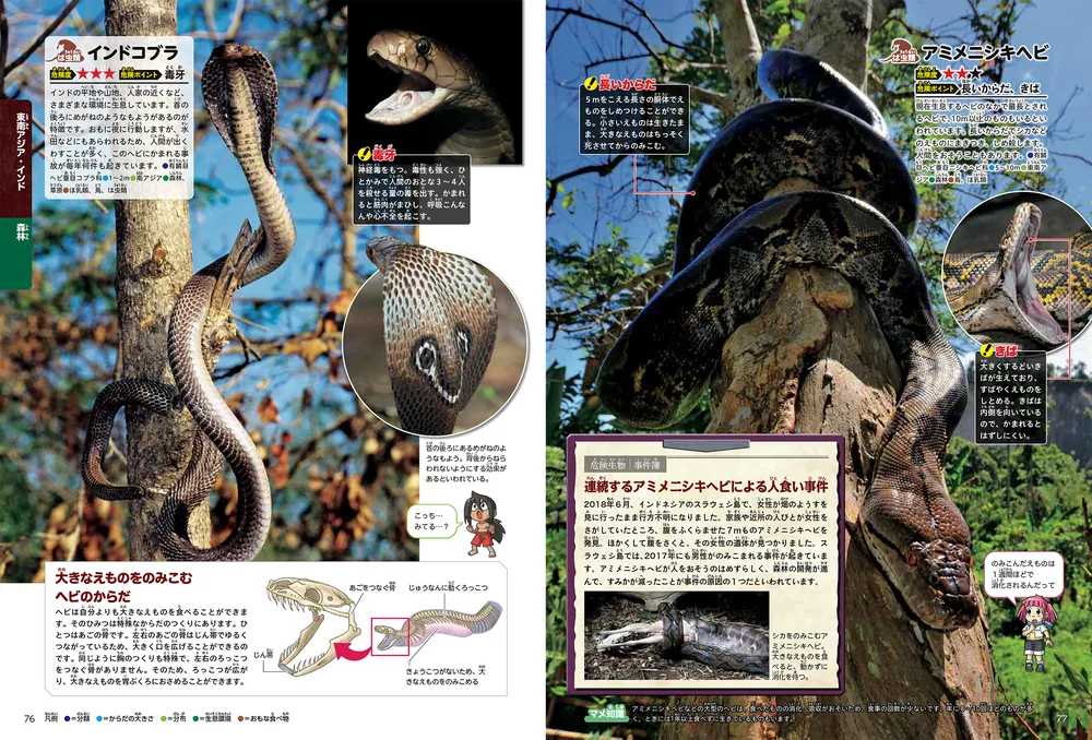 GET!角川の集める図鑑 動物・昆虫・恐竜・星と星座・危険生物 KADOKAWA 角川の集める図鑑GET！ 危険生物」加藤英明 [学習図鑑] - KADOKAWA
