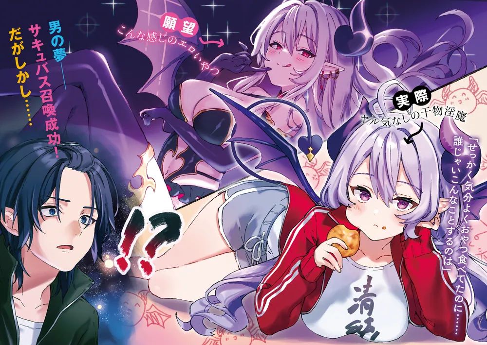 サキュバスとニート ～やらないふたり～」有象利路 [電撃文庫