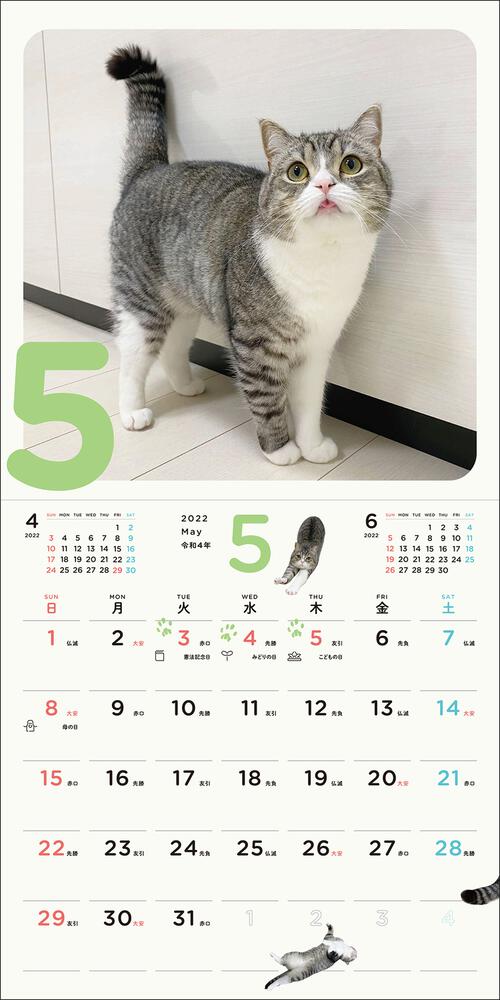 2024 令和6年 もちまる日記 壁掛けタイプカレンダー 猫カレンダー
