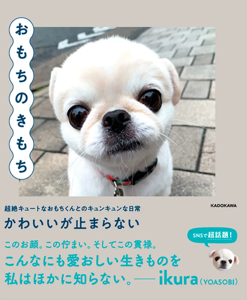 おもちのきもち」 [写真集] - KADOKAWA