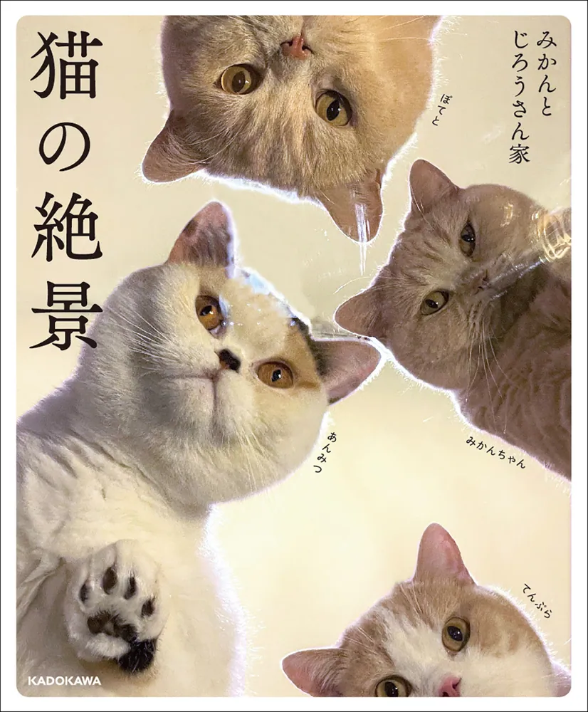  2024年おすすめのアイテム満載 猫の絶景」みかんとじろうさん家 [写真集] - KADOKAWA その他