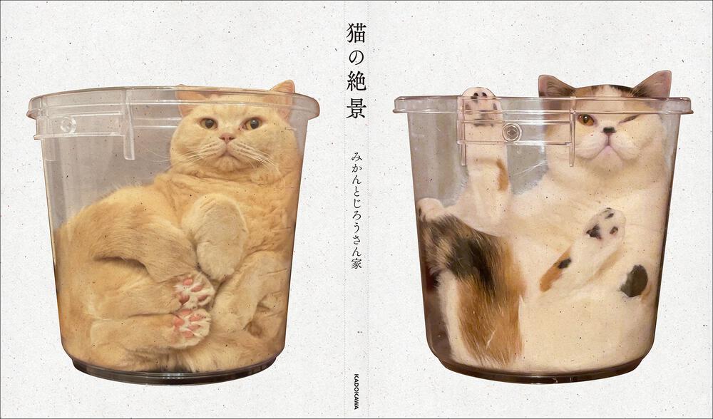 猫の絶景 みかんとじろうさん家 写真集 Kadokawa