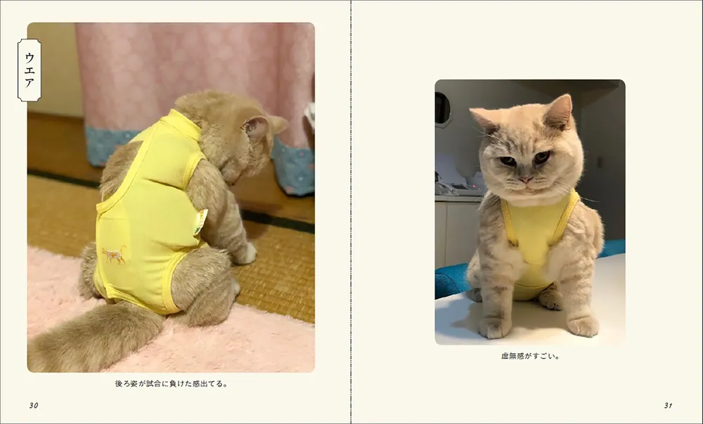 猫の絶景」みかんとじろうさん家 [写真集] - KADOKAWA