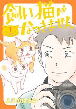 ☆tsubasa☆猫飼☆ tsu6237-sam.jpg