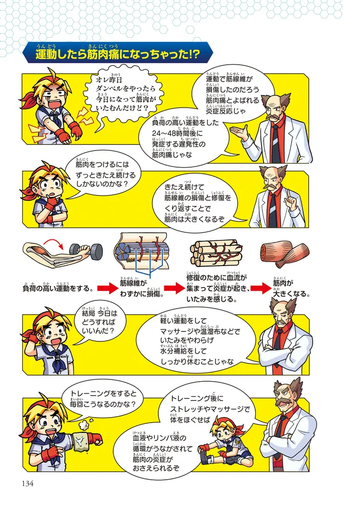 どっちが強い!? からだレスキュー(6) 練習・トレーニング編」深