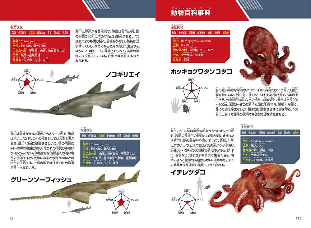 どっちが強い ミズダコvsノコギリエイ 海底忍者の大一番 新野 大 角川まんが学習シリーズ Kadokawa
