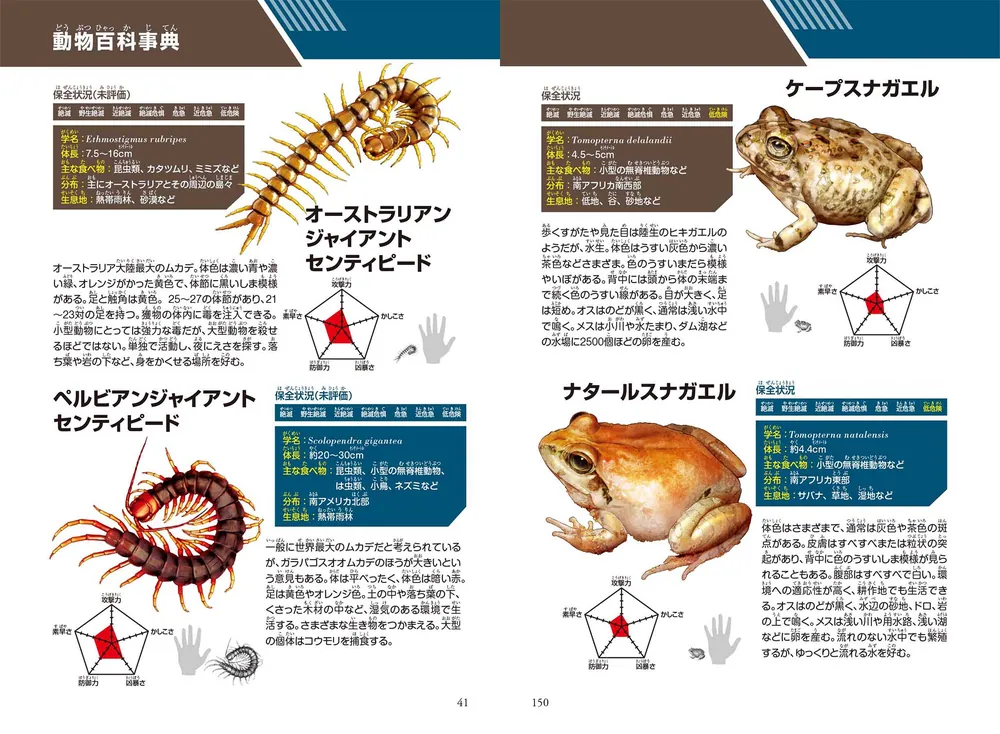 どっちが強い!? アフリカウシガエルvsオオムカデ 恐怖のゾロゾロ大行進 