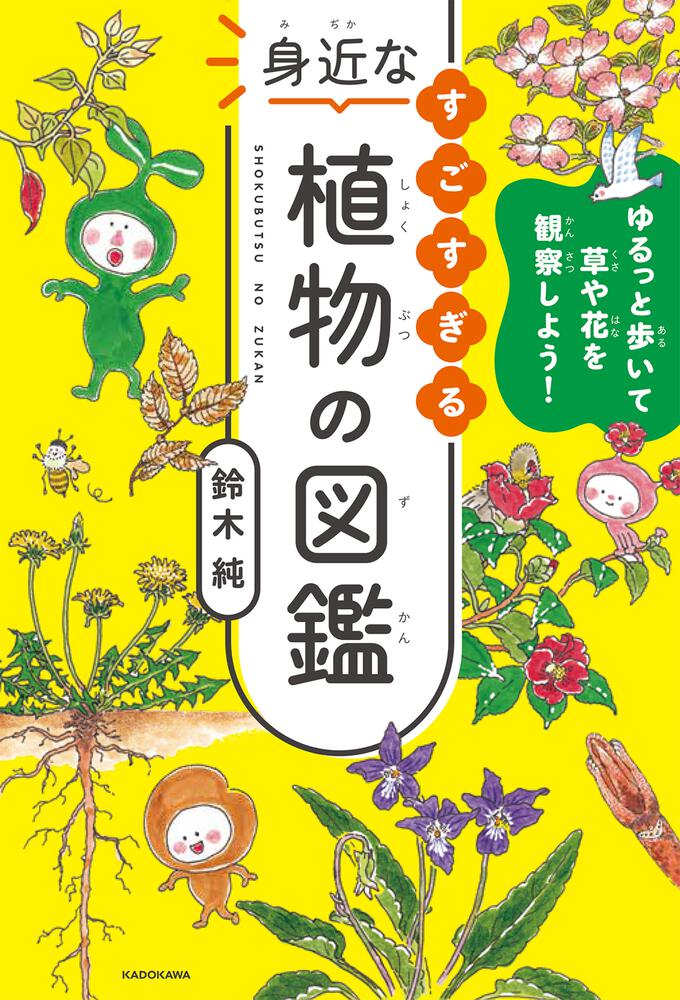 ゆるっと歩いて草や花を観察しよう すごすぎる身近な植物の図鑑 鈴木 純 生活 実用書 Kadokawa