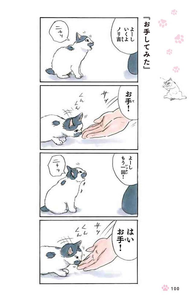 拾い猫のモチャ7」 にごたろ[コミックエッセイ] - KADOKAWA