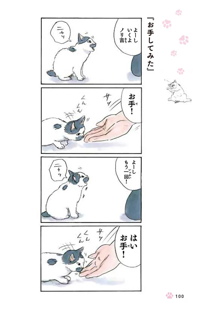 拾い猫のモチャ7」にごたろ [コミックエッセイ] - KADOKAWA