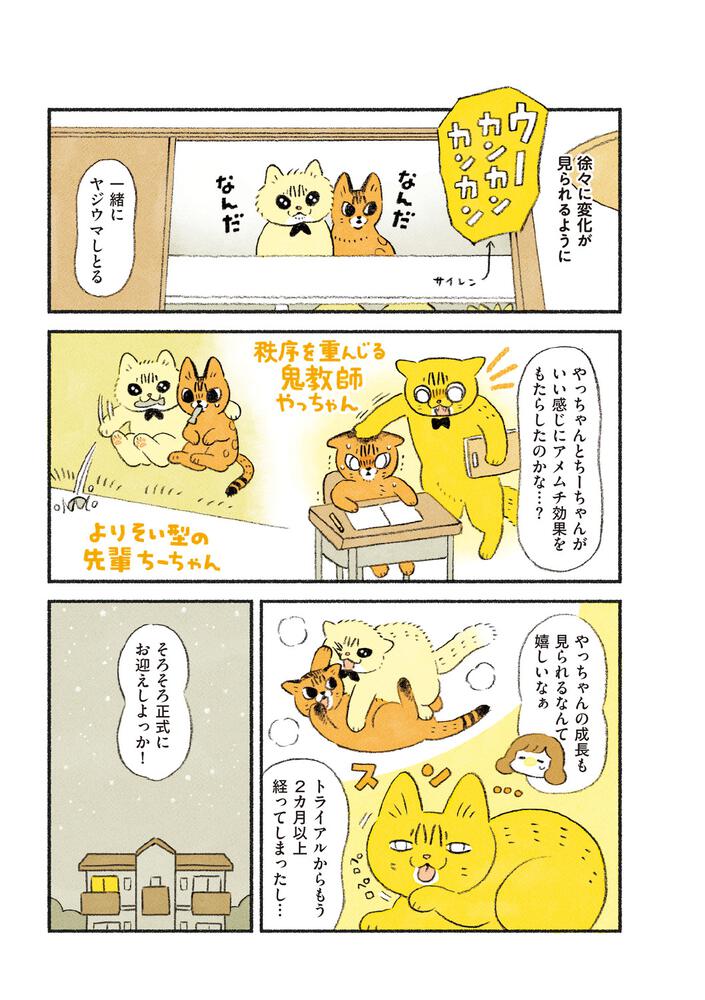 ちーちゃんさま専用ページ - ひざ丈ワンピース