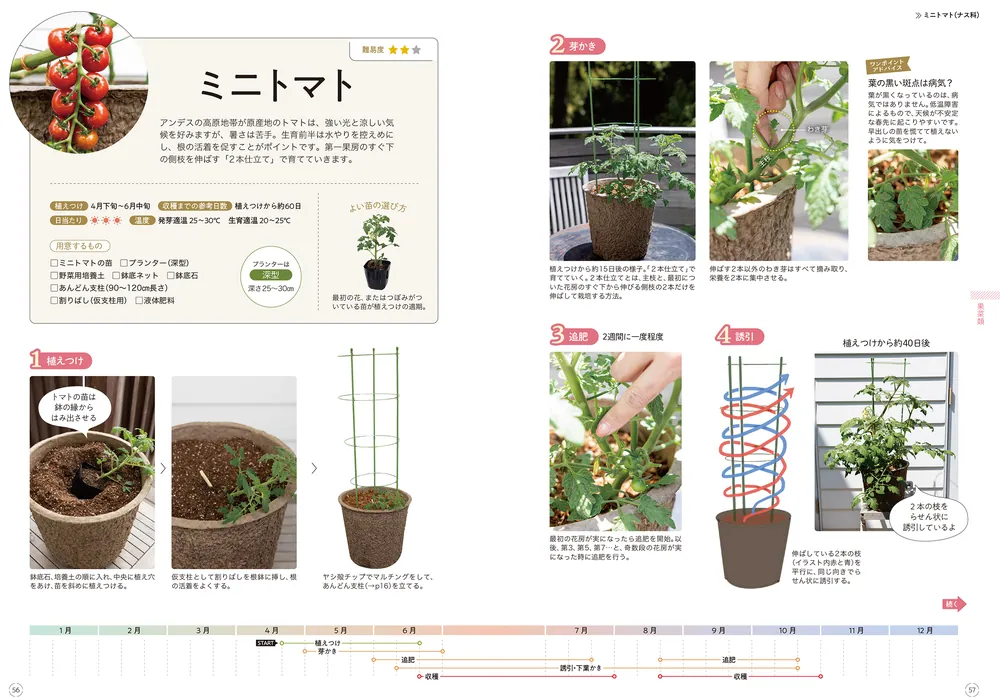 失敗しらず！ 毎日楽しい！ プランターで始める野菜づくり」深町貴子