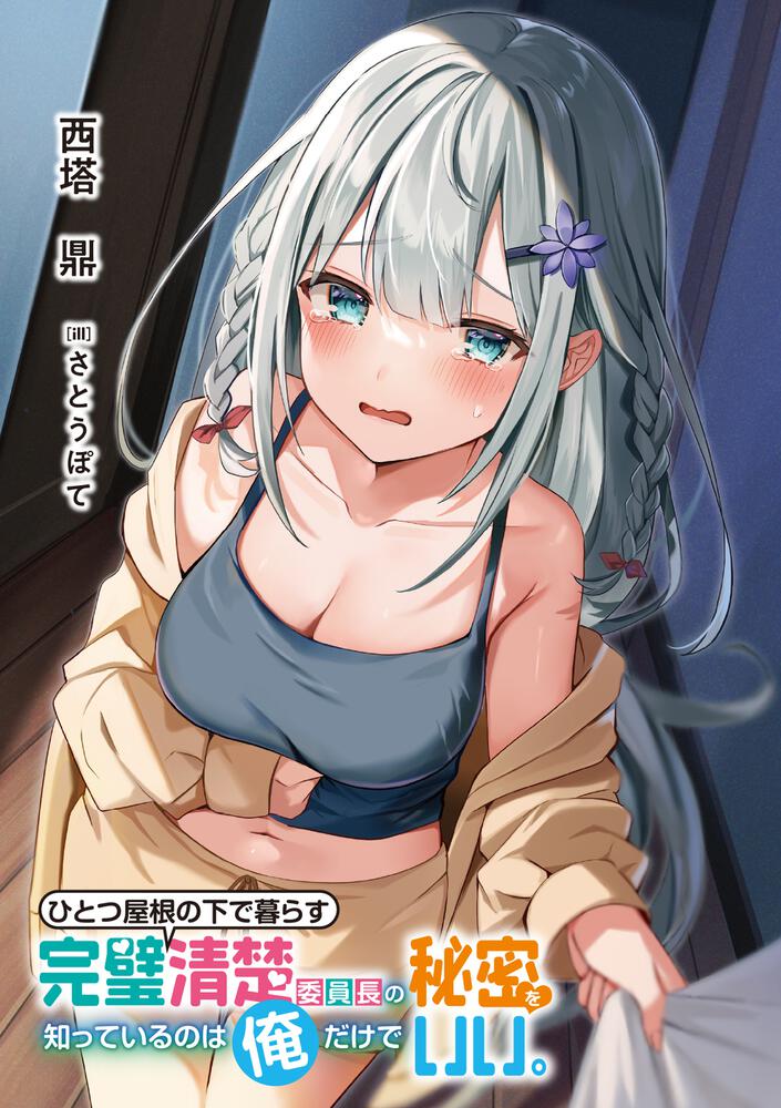 ひとつ屋根の下で暮らす完璧清楚委員長の秘密を知っているのは俺だけでいい 西塔 鼎 電撃文庫 Kadokawa