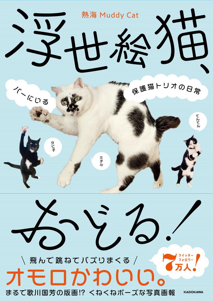 □参加型猫 (角川文庫) - 文学