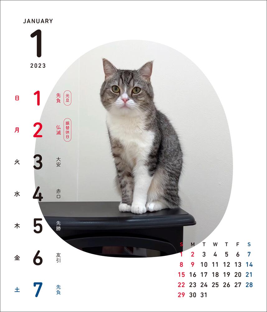 もちまる日記 週めくり卓上カレンダー23 1月はじまり 下僕 カレンダー Kadokawa