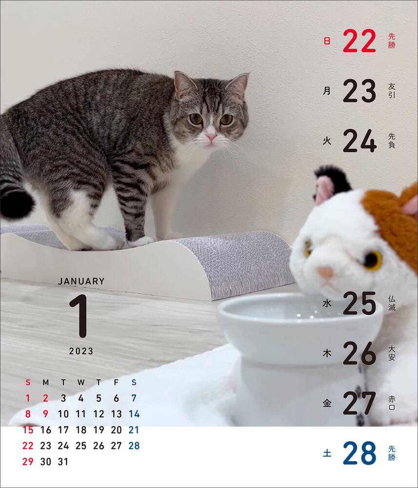 1月はじまり」下僕　[カレンダー]　もちまる日記　週めくり卓上カレンダー2023　KADOKAWA