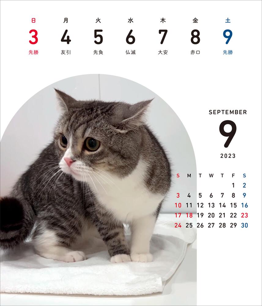 ダイソー　もちまる日記　卓上カレンダー　スケジュール手帳　２点セット　猫　もち